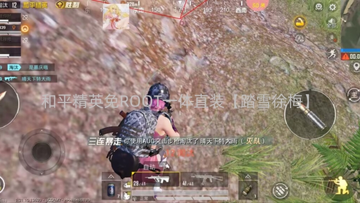 和平精英免ROOT一体直装【踏雪徐梅】